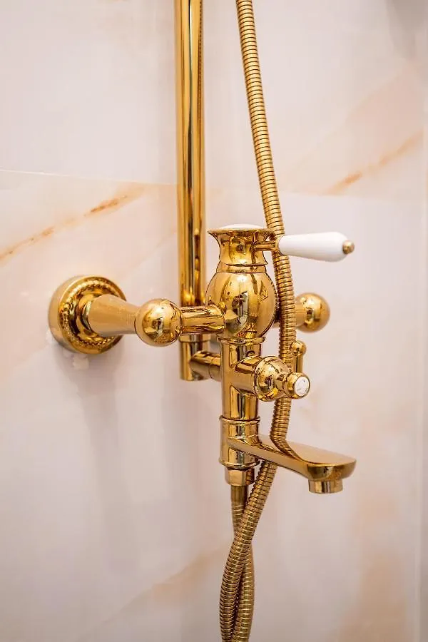 Private Museum Apartment With Antique Decor 부쿠레슈티 0*,  루마니아